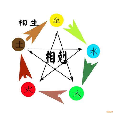 大林木|八字納音五行解析——大林木